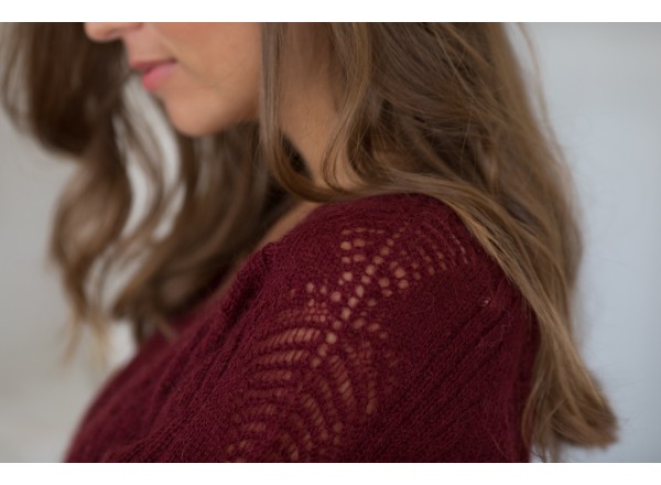 Pull Edgar bordeaux  