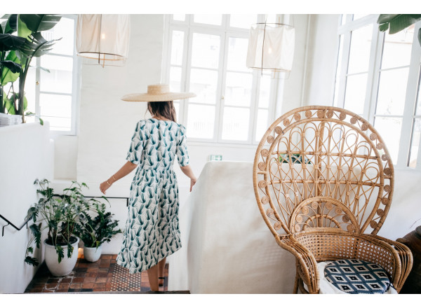 Palma printed Eloi dress